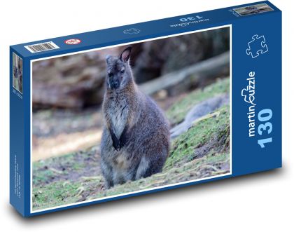 Klokan - zvíře, Austrálie - Puzzle 130 dílků, rozměr 28,7x20 cm