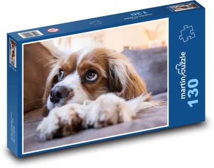 Pes - šteňa, maznáčik - Puzzle 130 dielikov, rozmer 28,7x20 cm 