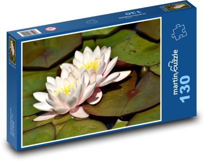 Lilie wodne - rośliny wodne, oczko wodne - Puzzle 130 elementów, rozmiar 28,7x20 cm