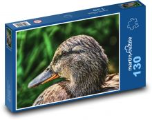 Divoká kachna - příroda, pták Puzzle 130 dílků - 28,7 x 20 cm
