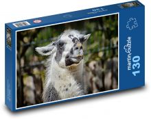 Lama - zviera, zoo Puzzle 130 dielikov - 28,7 x 20 cm 