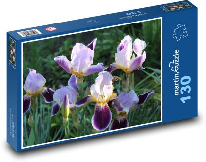 Irises in the garden - Puzzle 130 pieces, size 28.7x20 cm 