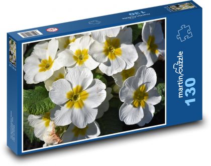 Petrklíč - primule, jarní květina - Puzzle 130 dílků, rozměr 28,7x20 cm