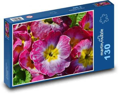 Primule - parsley, flower - Puzzle 130 pieces, size 28.7x20 cm 