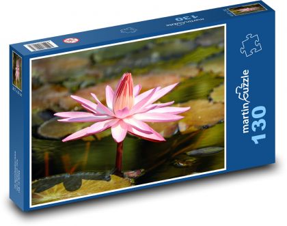 Růžový leknín - vodní květina, květ - Puzzle 130 dílků, rozměr 28,7x20 cm