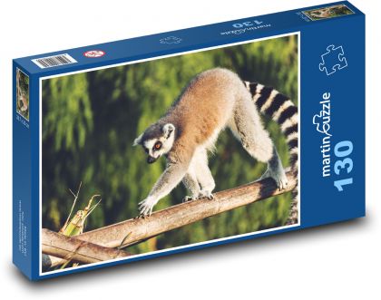 Lemur - zvíře, opice - puzzle 130 dílků