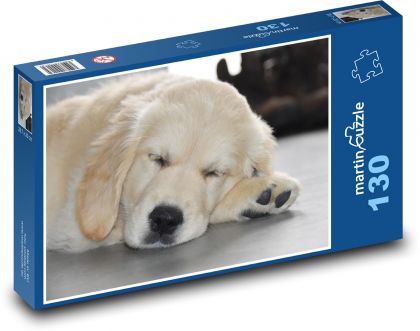 Sleeping dog - golden retriever, puppy - Puzzle 130 pieces, size 28.7x20 cm 