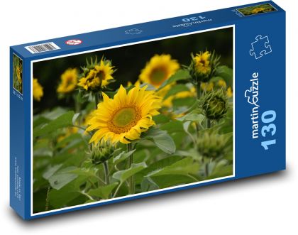Slunečnice - žluté květiny - Puzzle 130 dílků, rozměr 28,7x20 cm