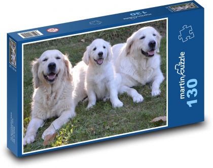 Golden retriever - dogs, puppy - Puzzle 130 pieces, size 28.7x20 cm 