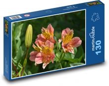Lilies - flower, bud Puzzle 130 pieces - 28.7 x 20 cm 