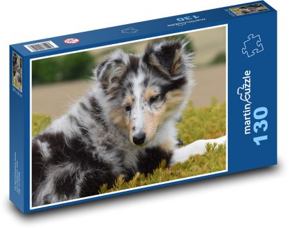 Dog - Shetlendian Shepherd, wall - Puzzle 130 pieces, size 28.7x20 cm 