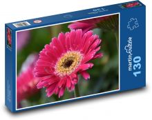 Květina - gerbera, květ Puzzle 130 dílků - 28,7 x 20 cm