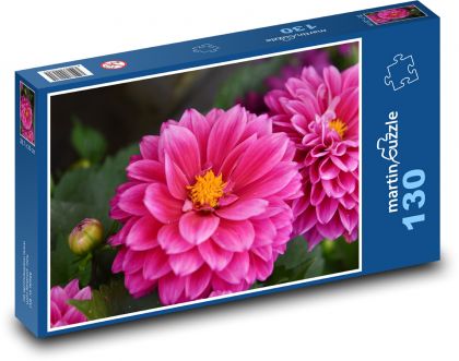 Jiřina - růžový květ, zahrada - Puzzle 130 dílků, rozměr 28,7x20 cm