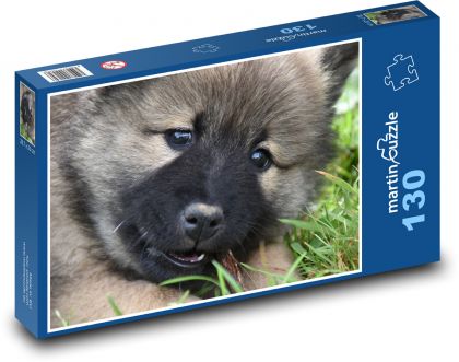 Pes - eurasier, štěně - Puzzle 130 dílků, rozměr 28,7x20 cm