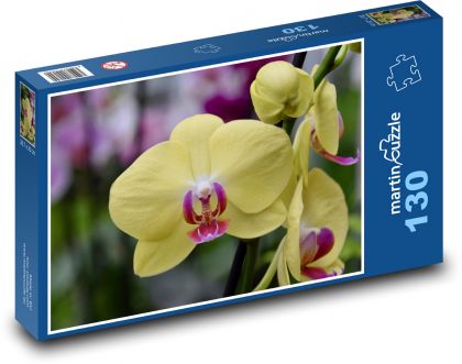 Orchidej - květina, žlutý kvě - Puzzle 130 dílků, rozměr 28,7x20 cm