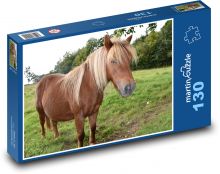 Shetlandský pony - kůň, farma Puzzle 130 dílků - 28,7 x 20 cm
