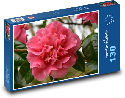 Kamélie - růžový květ, zahrada - Puzzle 130 dílků, rozměr 28,7x20 cm