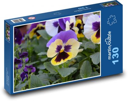 Pansy - flower, garden - Puzzle 130 pieces, size 28.7x20 cm 