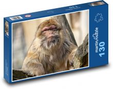 Makak - opice, zviera Puzzle 130 dielikov - 28,7 x 20 cm