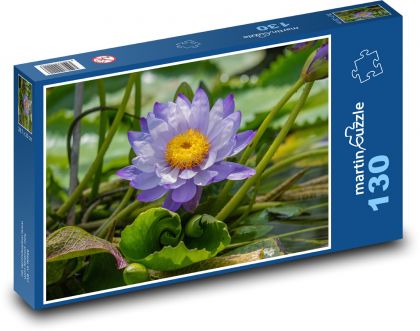 Lotosový květ - květina, rybník - Puzzle 130 dílků, rozměr 28,7x20 cm