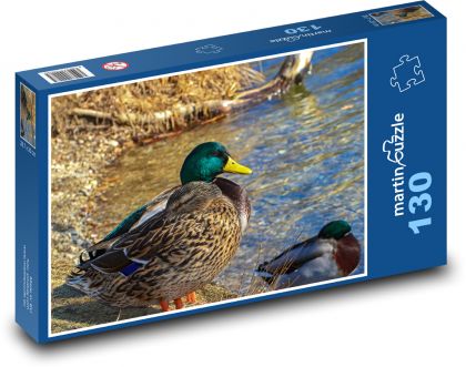 Káčer - kačica, vtáky - Puzzle 130 dielikov, rozmer 28,7x20 cm 