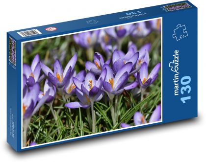 Krokus - kvet, záhrada - Puzzle 130 dielikov, rozmer 28,7x20 cm 