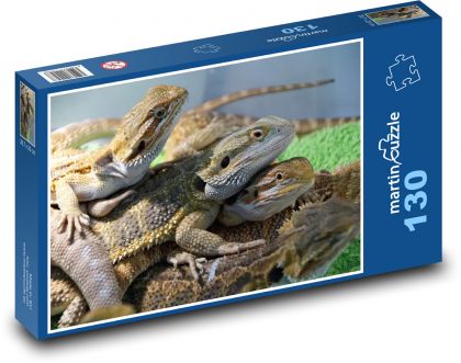 Jaszczurka - agama, gad - Puzzle 130 elementów, rozmiar 28,7x20 cm