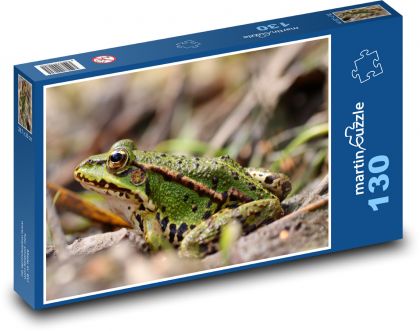 Frog - nature, amphibian - Puzzle 130 pieces, size 28.7x20 cm 