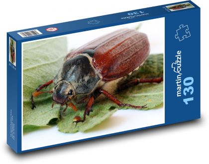 Käfer - Insekt, Käfer - Puzzle - 130 Teile