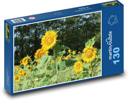 Slnečnica - žltý kvet, jar - Puzzle 130 dielikov, rozmer 28,7x20 cm 