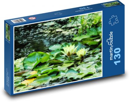 Yellow water lilies - aquatic plants, nature - Puzzle 130 pieces, size 28.7x20 cm 