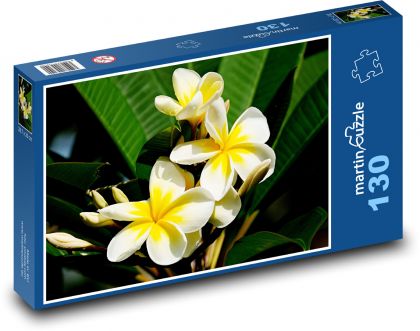Plumérie - Blume, Strauch - Puzzle - 130 Teile
