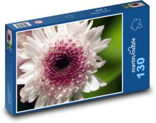 Chrysanthemum - flower, white flower Puzzle 130 pieces - 28.7 x 20 cm