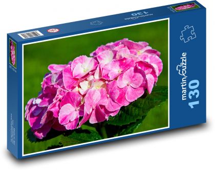 Růžová hortenzie - květina, jaro - Puzzle 130 dílků, rozměr 28,7x20 cm