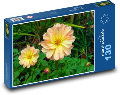Jiřina - kvet, záhrada - Puzzle 130 dielikov, rozmer 28,7x20 cm 