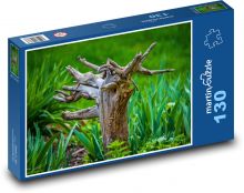 Korene - strom, lúka Puzzle 130 dielikov - 28,7 x 20 cm 