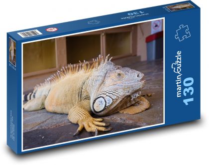 Iguana - plaz, zoo - Puzzle 130 dielikov, rozmer 28,7x20 cm 