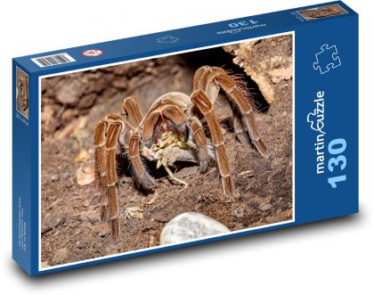 Tarantule - pavouk, zvíře - Puzzle 130 dílků, rozměr 28,7x20 cm