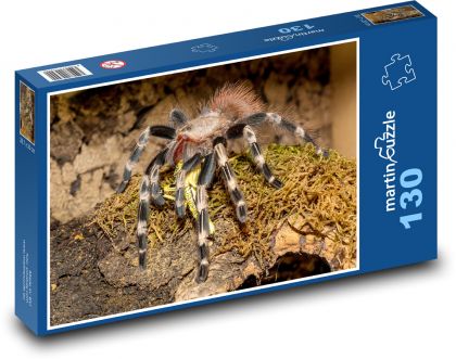 Tarantula - tarantula, pająk - Puzzle 130 elementów, rozmiar 28,7x20 cm