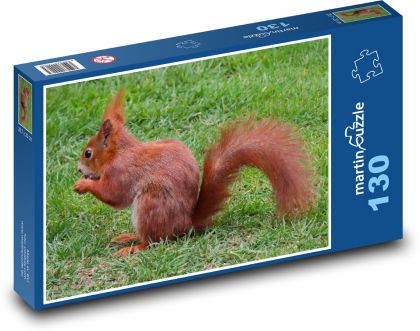 Eichhörnchen - Tier, Nagetier - Puzzle - 130 Teile