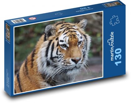 Tiger - predator, zoo - Puzzle 130 pieces, size 28.7x20 cm 