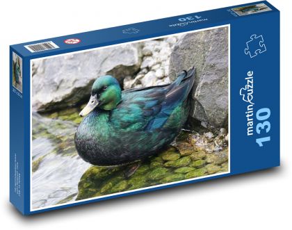 Duck - bird, pond - Puzzle 130 pieces, size 28.7x20 cm 