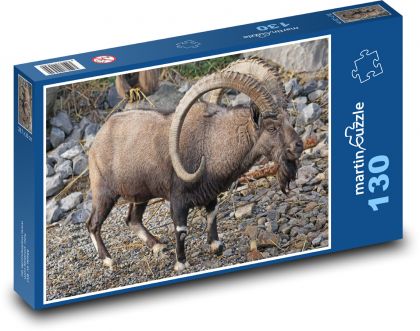 Capricorn - animal, horns - Puzzle 130 pieces, size 28.7x20 cm 