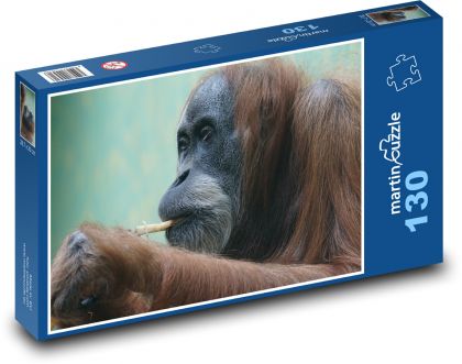Orangutan - opice, primát - Puzzle 130 dílků, rozměr 28,7x20 cm