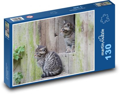 Divoké kočky - mláďata, zoo - puzzle 130 dílků