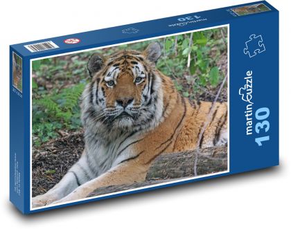 Tygr - velká kočka, dravec - Puzzle 130 dílků, rozměr 28,7x20 cm