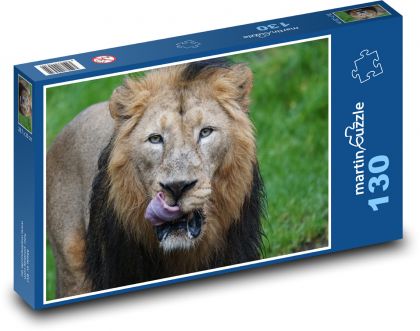 Lion - predator, big cat - Puzzle 130 pieces, size 28.7x20 cm 
