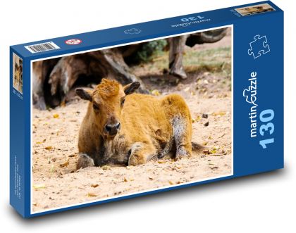 Buffalo - wild animal, calf - Puzzle 130 pieces, size 28.7x20 cm 