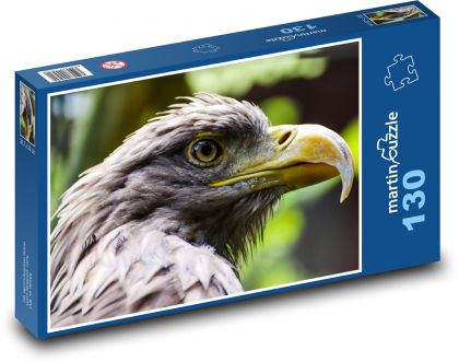 Eagle - bird of prey - Puzzle 130 pieces, size 28.7x20 cm 