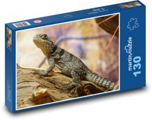 Leguán - jašterica, plaz Puzzle 130 dielikov - 28,7 x 20 cm 
